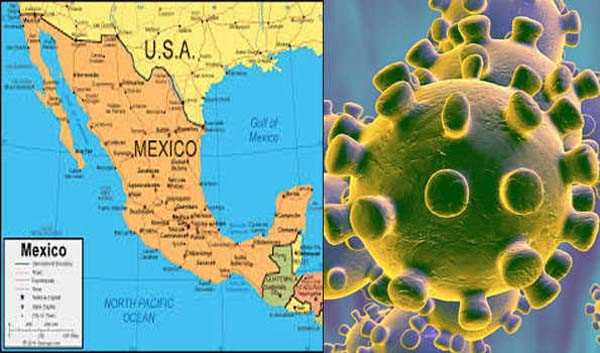 मेक्सिको में कोरोना से 626 और मरीजों की मौत, मृतकों की संख्या 62,076 मेक्सिको में कोरोना से 626 और मरीजों की मौत, मृतकों की संख्या 62,076